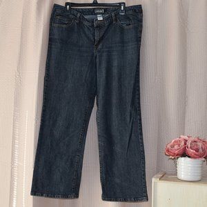 Venezia Right Fit Stretch Bootcut Distressed Straight Leg 3 Petite